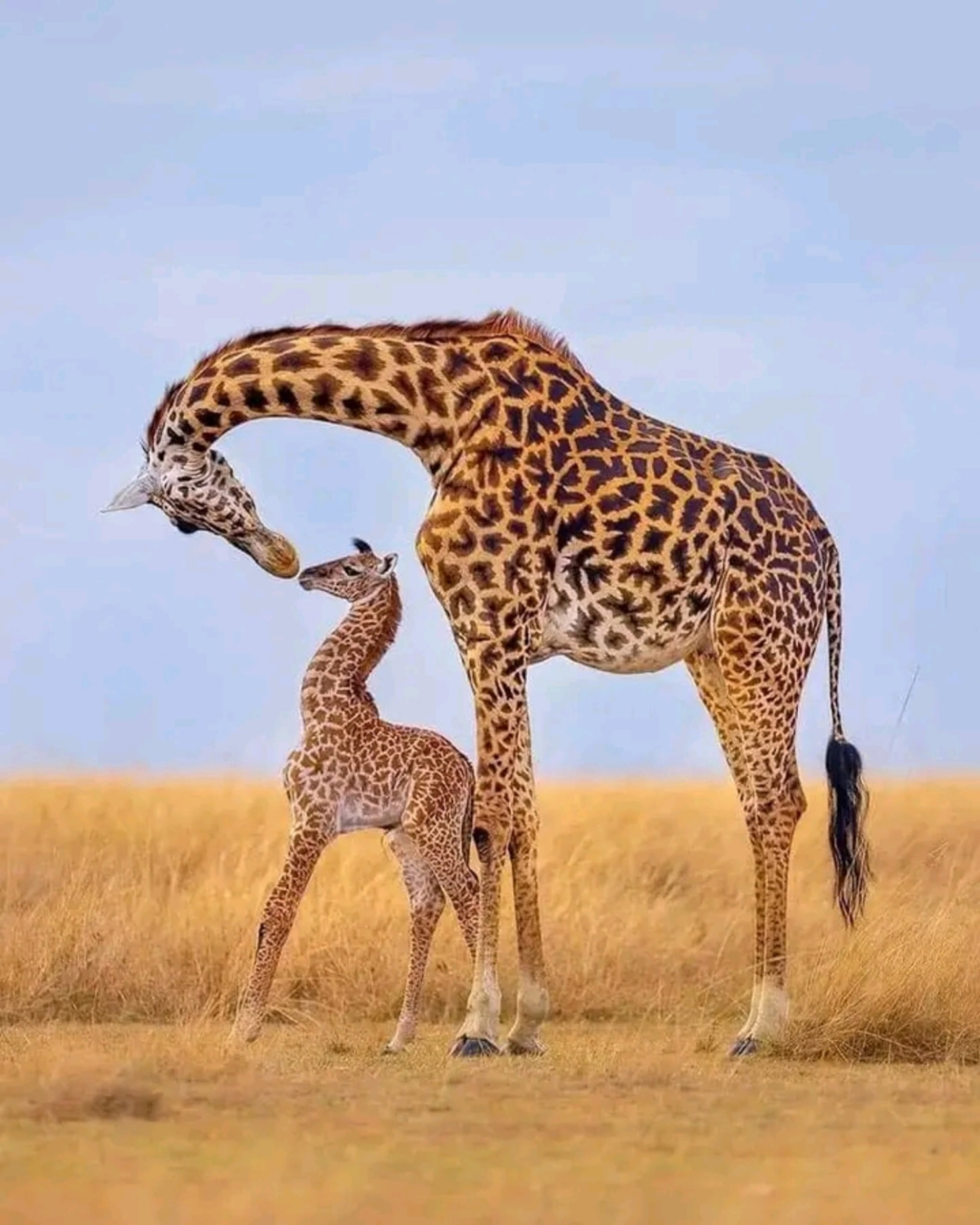 Paisaje de África